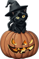 midnatt magi fattande de svart katt halloween festival ai generativ png