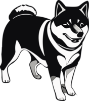 shiba inu maestà il fascino di del Giappone cane icona ai generativo png