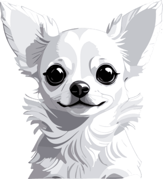 chihuahua meraviglie esplorando il mondo di il minuscolo cucciolo ai generativo png