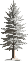 Kiefer Baum Träumereien ein visuell Reise in natürlich Harmonie ai generativ png