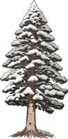 Pine Tree Reverie A Visual Voyage into Natural Harmony AI generative png