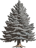 Pine Tree Reverie A Visual Voyage into Natural Harmony AI generative png