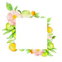 Frame with fruits and roses on a white background, watercolor vector