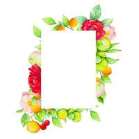 Frame with fruits and roses on a white background, watercolor vector