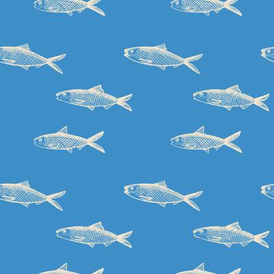 Fish Sardine seamless pattern. Background with pilchard drawing. Hand drawn seafood decorative ornament for packaging design, label, print, backdrop, card, template. Vector illustration design element