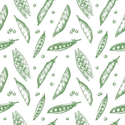 Pea plants seamless pattern. Background with peas and grains drawing. Hand drawn decorative ornament for packaging design, label, print, backdrop, card, template. Vector illustration design element