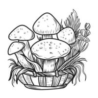 Mushrooms coloring page. Autumn composition linear illustration.Autumn coloring book for children vector