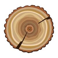 Tree stump top view, color illustration of wood vector