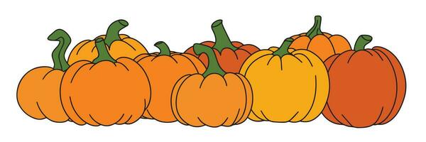 Pumpkin horizontal banner. Autumn banner with pumpkin for harvest festival. Vector illustration.