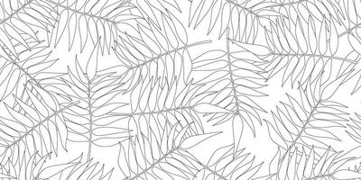 outline fern leaves seamless pattern vector