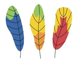 Set of parrot feathers in doodle style vector