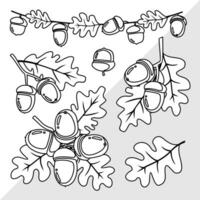 Acorns and oak leaves set. Black outline. Coloring book. Illustrated vector clipart.