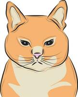 Cute orange cat pet vector picture