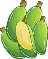 Many green mango fruits together vector