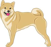 A vector picture or illustration of a shiba-inu dog breed, also known as an inu, standing and smiling.