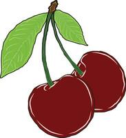 A vector illustration of cherry fruit in bright red color. and the green of cherry leaves