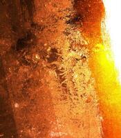 antecedentes con un araña y pez, monzón brillante, luz de sol dorado grunge texturizado antecedentes foto