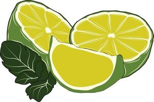 green lemon cut into slices vector