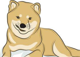 vector picture Shiba dog breed, also known as Inu.