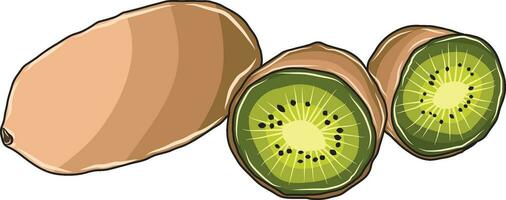 Green kiwi fruit vector or illustrator image mainly focusing on green by emphasizing the brilliance of colors to look more lively