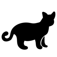 gatto carino animale png