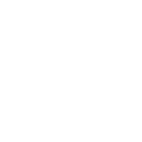 gatto carino animale png