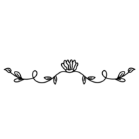 flower drawing line png