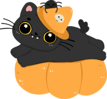 fofa dia das Bruxas gato, assustador Preto gato desenho animado ilustração png