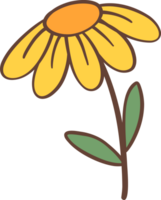 Cute Retro flower, Kawaii simple cartoon outline doodle png