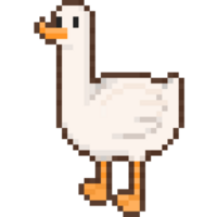 Pixel Cartoon White Duck Character Illustration. png