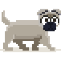 Pixel art Pug dog head png