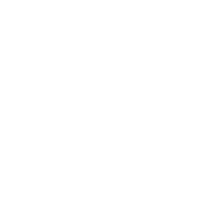 pixel arte fiocco di neve icona png