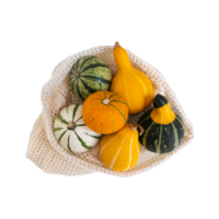 Little decorative bright yellow, orange, green pumpkin in traditional cotton net eco-friendly bag, zero waste concept, healthy organic food, environment conservation, Thanksgiving autumn holiday decor png