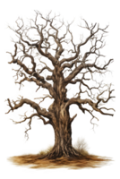dead tree isolated on transparent background ,dry tree cut out ,generative ai png