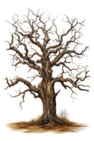 dead tree isolated on transparent background ,dry tree cut out ,generative ai png