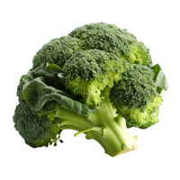 broccoli geïsoleerd Aan transparant achtergrond ,snee uit groen broccoli groente ,generatief ai png