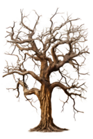 dead tree isolated on transparent background ,dry tree cut out ,generative ai png