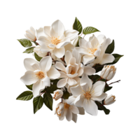 vit blomma png