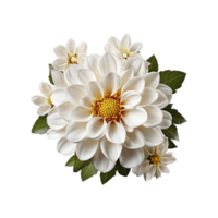 branco flor png ai generativo