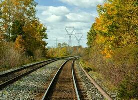 Railroad tracks in the autumn forest photo