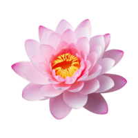 AI Generated lotus flowers, pink, yellow, white flowers. Macro shot with transparent background for decoration. png
