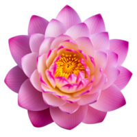 ai gegenereerd lotus bloemen, roze, geel, wit bloemen. macro schot met transparant achtergrond voor decoratie. png