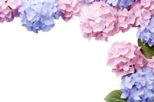 AI Generated  banner background blue and pink hydrangea flowers transparent background copy space suitable for greeting card invitation decoration png