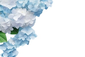 AI Generated  banner background blue and pink hydrangea flowers transparent background copy space suitable for greeting card invitation decoration png