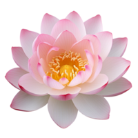 AI Generated lotus flowers, pink, yellow, white flowers. Macro shot with transparent background for decoration. png