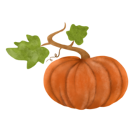 Pumpkin Illustration for Decoration and Halloween png