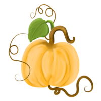Pumpkin Illustration for Decoration and Halloween png