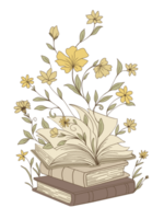 Books Stack and Flowers Illustration png