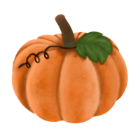 Pumpkin Illustration for Decoration and Halloween png