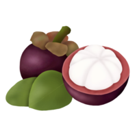 mangostán frutas ilustración png